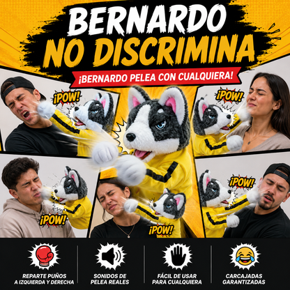 Bernardo™ | El Títere Más Peleón