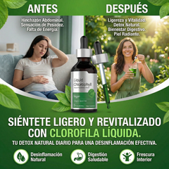 Clorofila Líquida Detoxifica, Desinflama y Purifica en Dos Semanas